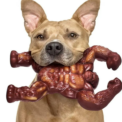 Dog Molar Nibbling Nylon Beef Flavor Toy